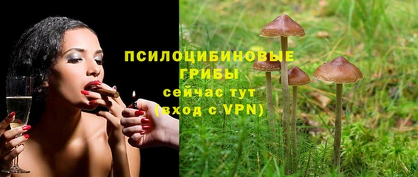 амфетамин Богородицк