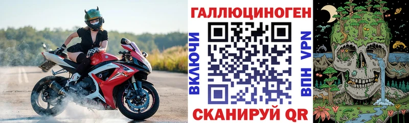Псилоцибиновые грибы Psilocybine cubensis  Велиж 